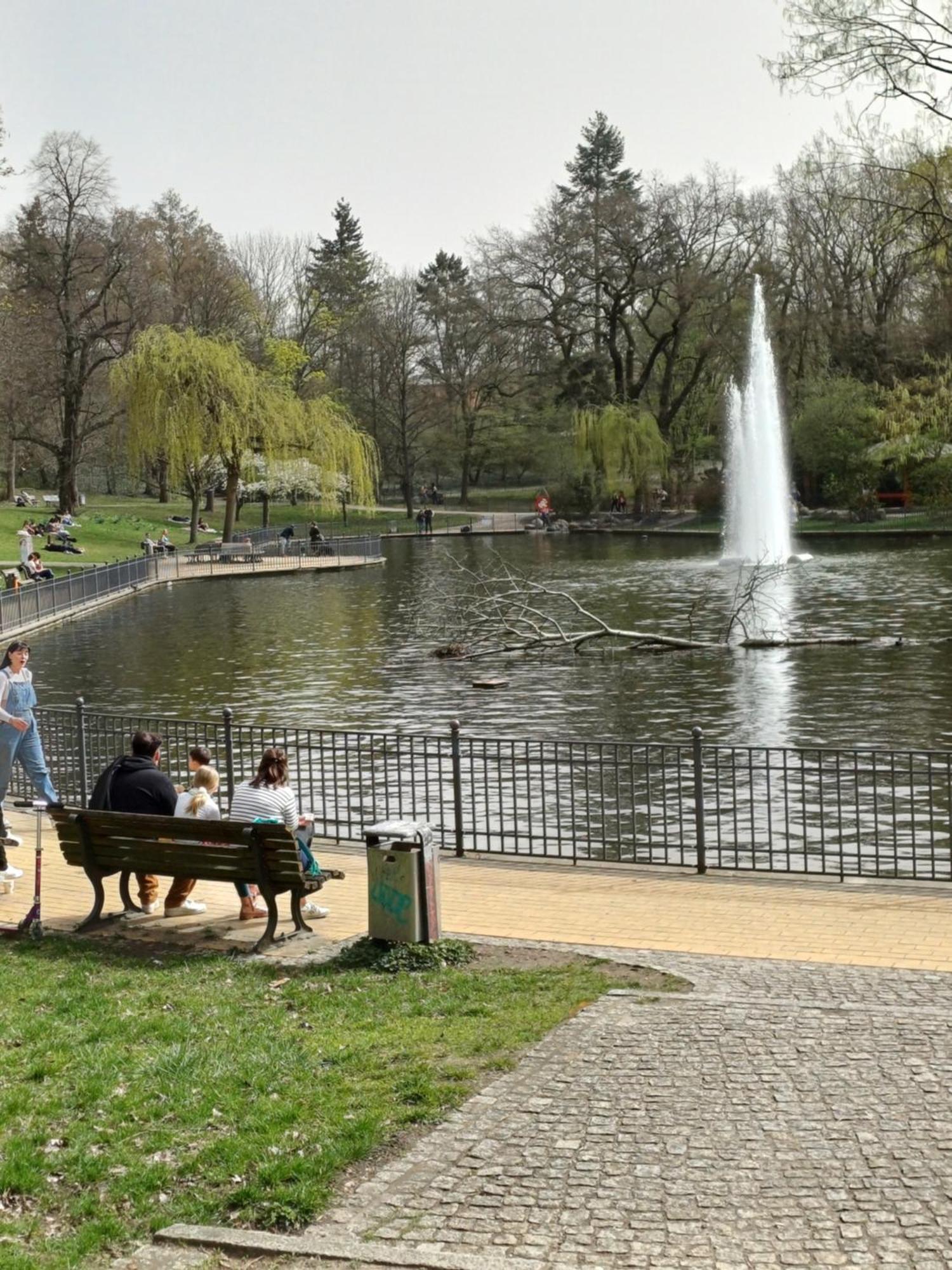 Suite Park & City Alex 4 Rooms 2 Bathrooms 2 Kitchen Berlin Bagian luar foto